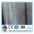 reinforcing welded mesh price/ galvanized welded mesh prices